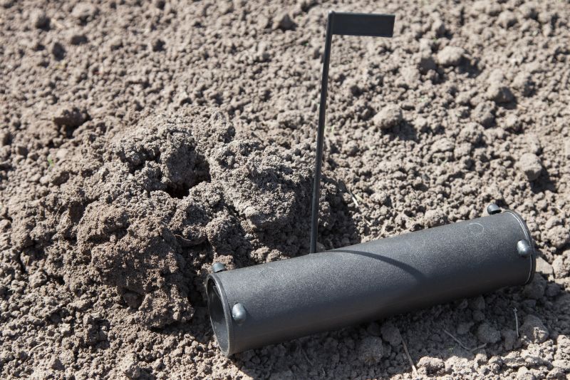 Mole Extermination Service