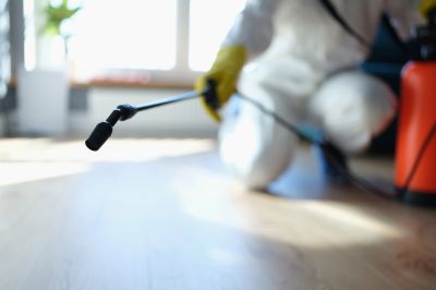 Mole Extermination Service Cost — Cost of Mole Extermination Service